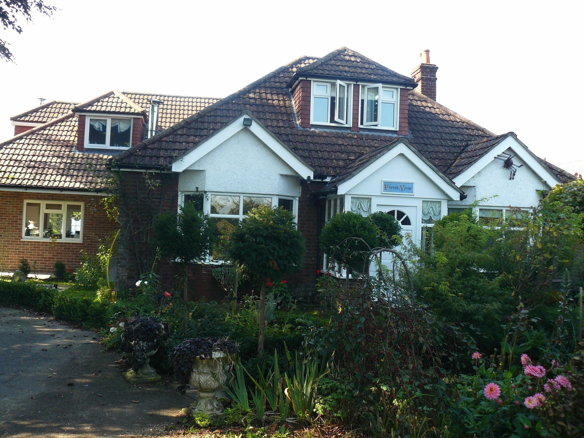 Landford Forest View B&B מראה חיצוני תמונה